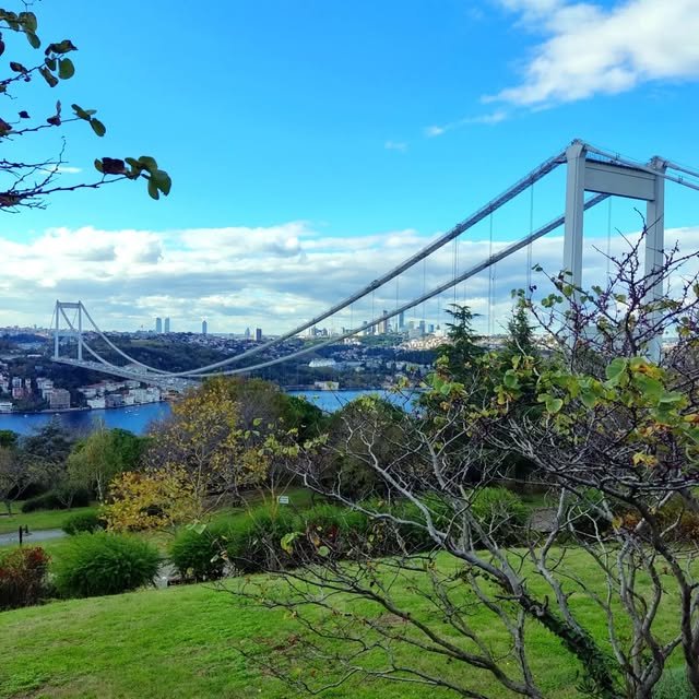 Bosphorus bridge view