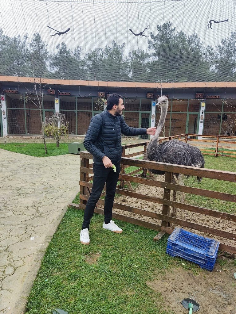 Wildlife moment